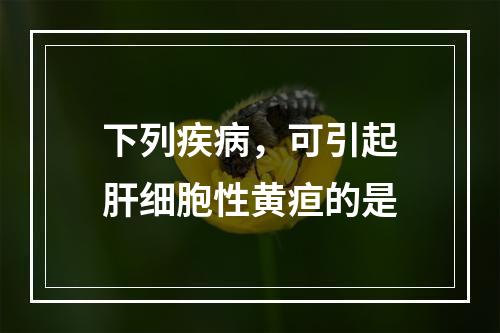 下列疾病，可引起肝细胞性黄疸的是