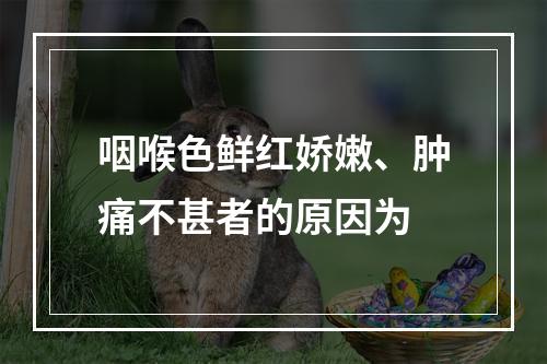 咽喉色鲜红娇嫩、肿痛不甚者的原因为