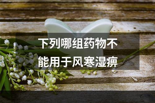 下列哪组药物不能用于风寒湿痹