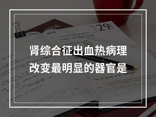 肾综合征出血热病理改变最明显的器官是