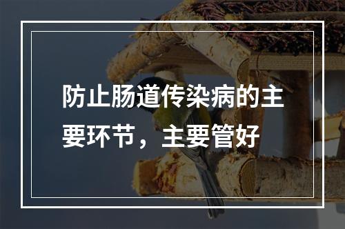 防止肠道传染病的主要环节，主要管好