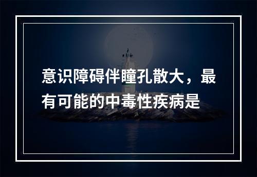 意识障碍伴瞳孔散大，最有可能的中毒性疾病是