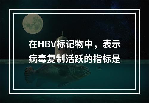 在HBV标记物中，表示病毒复制活跃的指标是