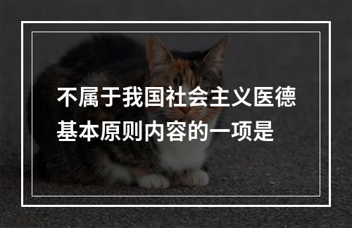 不属于我国社会主义医德基本原则内容的一项是