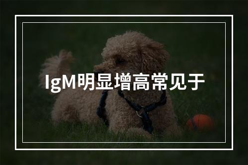 IgM明显增高常见于