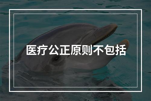 医疗公正原则不包括