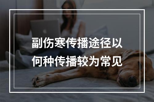 副伤寒传播途径以何种传播较为常见