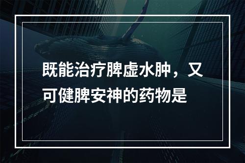 既能治疗脾虚水肿，又可健脾安神的药物是