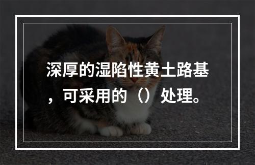 深厚的湿陷性黄土路基，可采用的（）处理。