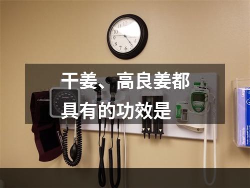 干姜、高良姜都具有的功效是