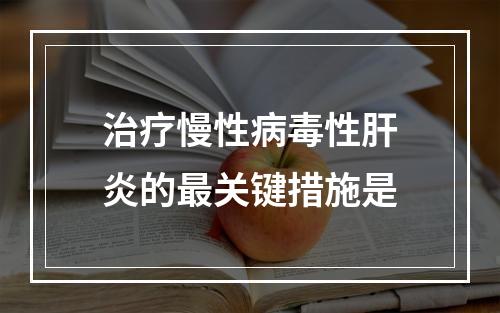 治疗慢性病毒性肝炎的最关键措施是