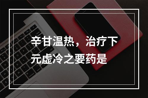 辛甘温热，治疗下元虚冷之要药是