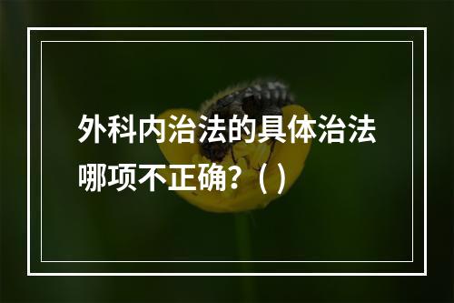 外科内治法的具体治法哪项不正确？( )