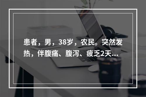 患者，男，38岁，农民。突然发热，伴腹痛、腹泻、疲乏2天，每