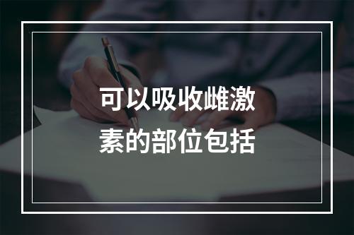 可以吸收雌激素的部位包括