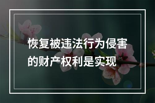 恢复被违法行为侵害的财产权利是实现