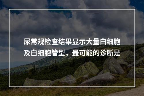 尿常规检查结果显示大量白细胞及白细胞管型，最可能的诊断是