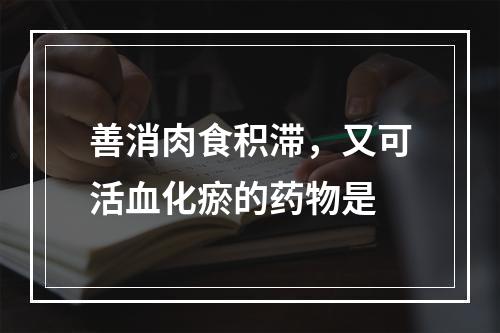 善消肉食积滞，又可活血化瘀的药物是