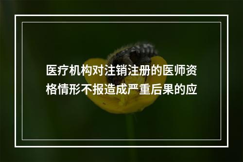 医疗机构对注销注册的医师资格情形不报造成严重后果的应