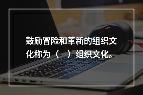 鼓励冒险和革新的组织文化称为（　）组织文化。