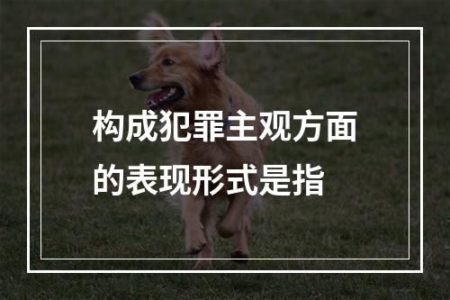 构成犯罪主观方面的表现形式是指