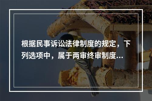 根据民事诉讼法律制度的规定，下列选项中，属于两审终审制度例外