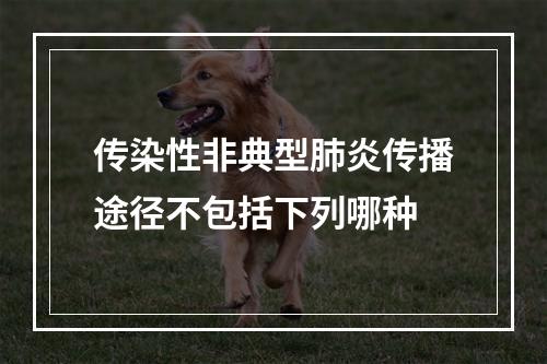 传染性非典型肺炎传播途径不包括下列哪种