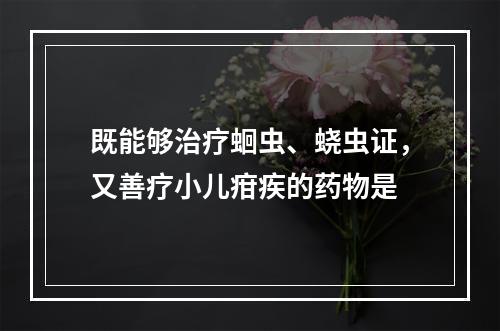 既能够治疗蛔虫、蛲虫证，又善疗小儿疳疾的药物是