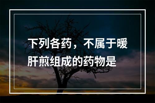 下列各药，不属于暖肝煎组成的药物是