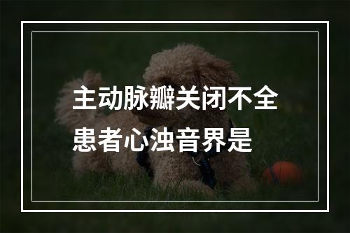 主动脉瓣关闭不全患者心浊音界是