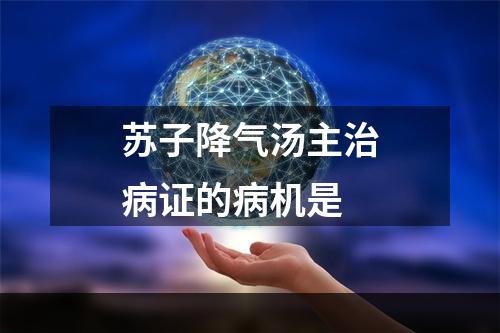 苏子降气汤主治病证的病机是