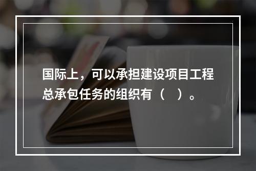 国际上，可以承担建设项目工程总承包任务的组织有（　）。