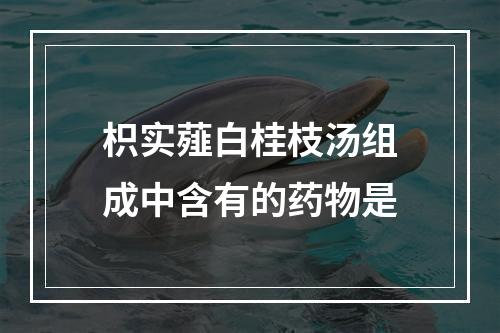 枳实薤白桂枝汤组成中含有的药物是