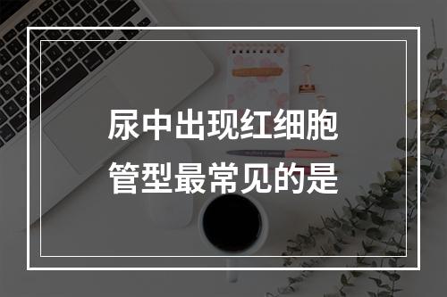 尿中出现红细胞管型最常见的是