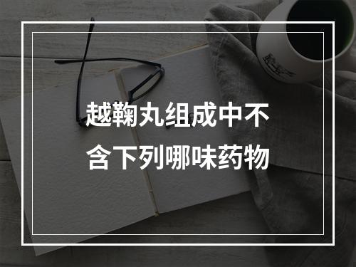 越鞠丸组成中不含下列哪味药物