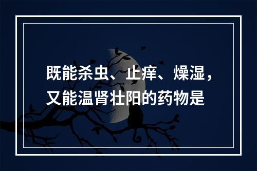 既能杀虫、止痒、燥湿，又能温肾壮阳的药物是