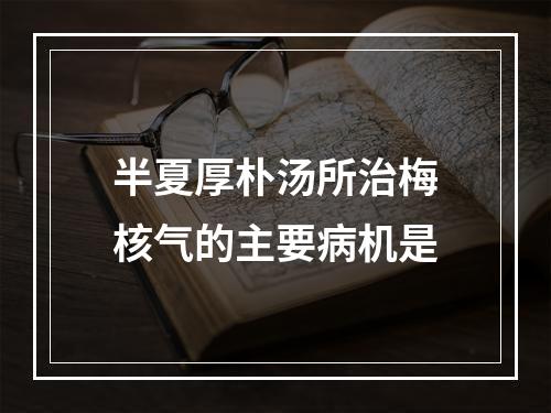 半夏厚朴汤所治梅核气的主要病机是