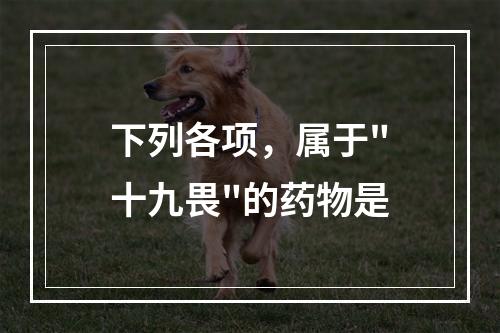 下列各项，属于