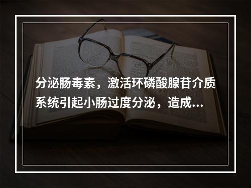 分泌肠毒素，激活环磷酸腺苷介质系统引起小肠过度分泌，造成剧烈