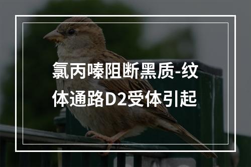 氯丙嗪阻断黑质-纹体通路D2受体引起