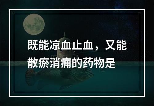 既能凉血止血，又能散瘀消痈的药物是