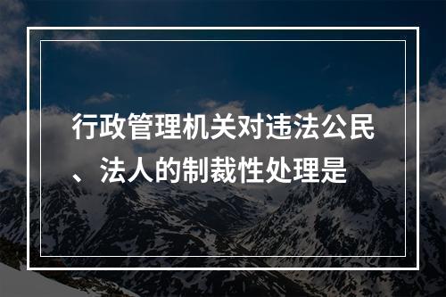 行政管理机关对违法公民、法人的制裁性处理是