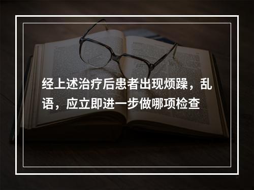 经上述治疗后患者出现烦躁，乱语，应立即进一步做哪项检查