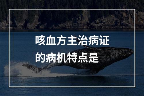 咳血方主治病证的病机特点是