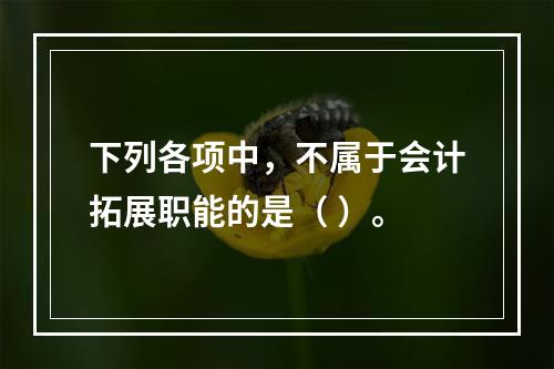 下列各项中，不属于会计拓展职能的是（ ）。