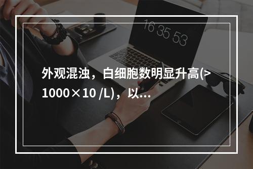 外观混浊，白细胞数明显升高(>1000×10 /L)，以中性