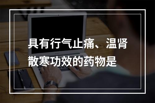 具有行气止痛、温肾散寒功效的药物是