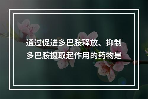 通过促进多巴胺释放、抑制多巴胺摄取起作用的药物是