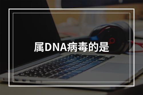 属DNA病毒的是