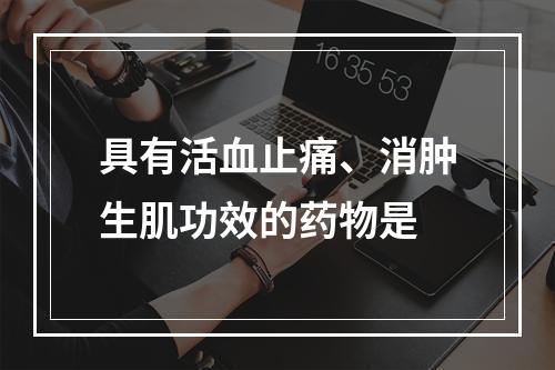 具有活血止痛、消肿生肌功效的药物是